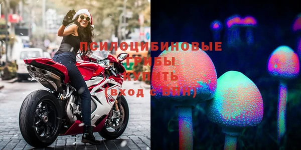 мяу мяу мука Белоозёрский