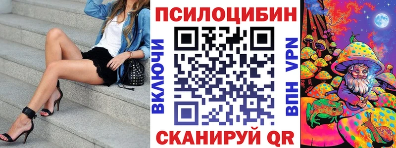 Галлюциногенные грибы Psilocybe Городовиковск